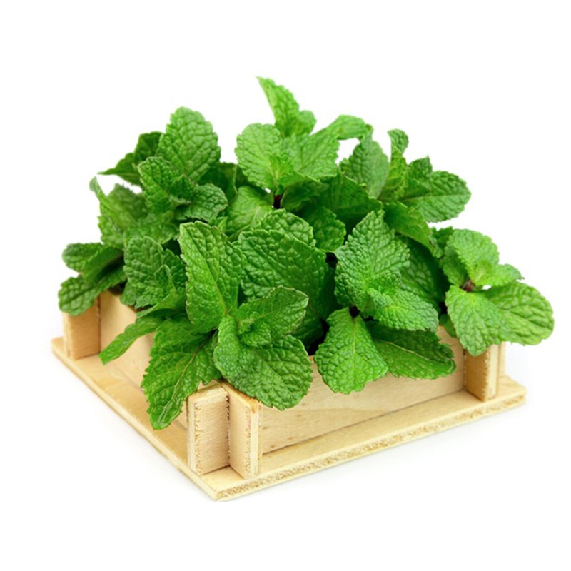 product-image-3
