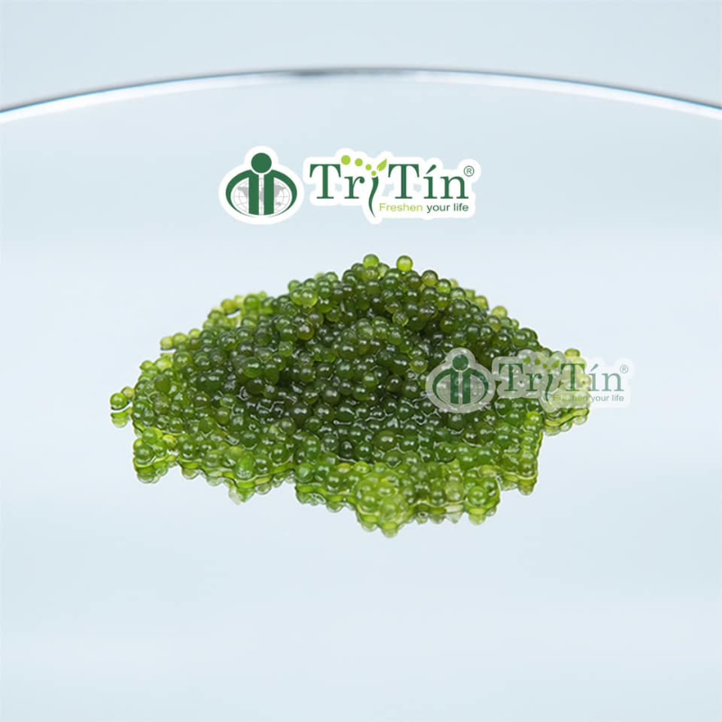 product-image-2