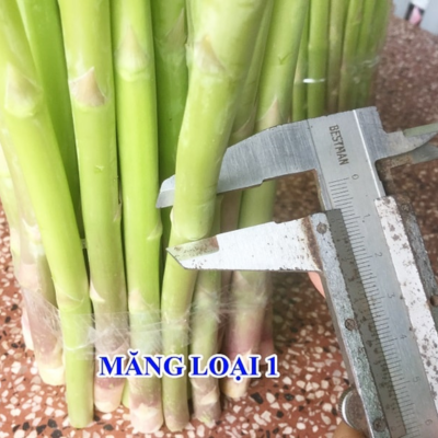 product-image-2