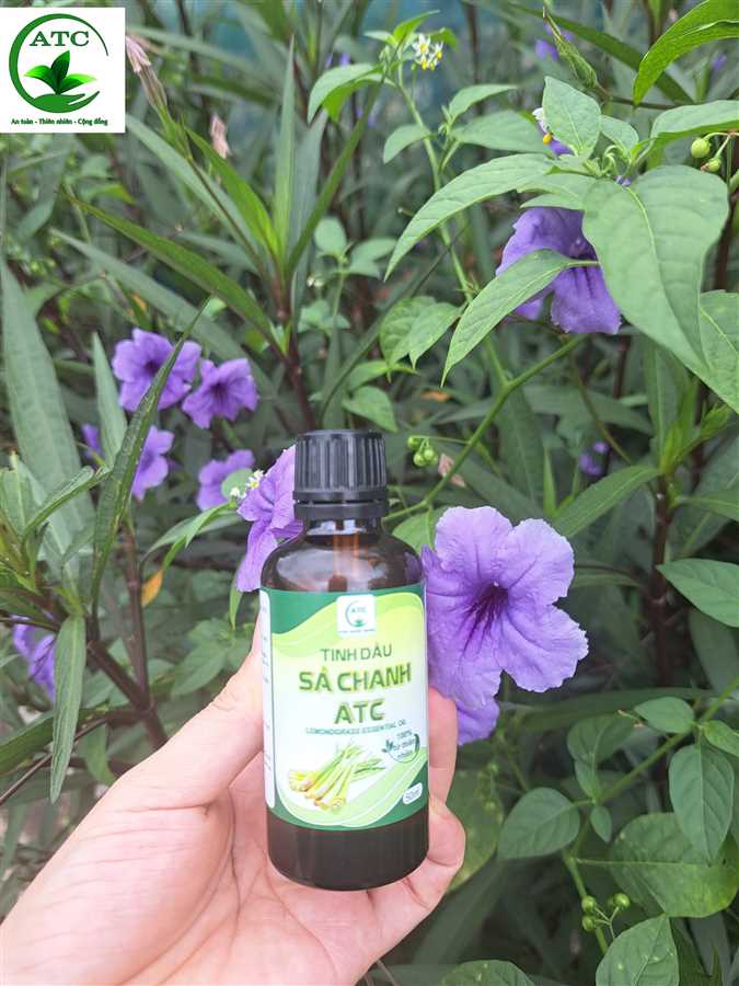 product-image-2