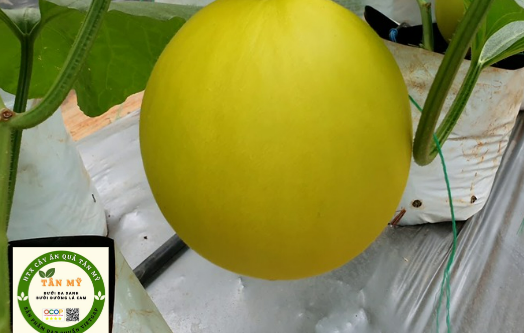 product-image-2
