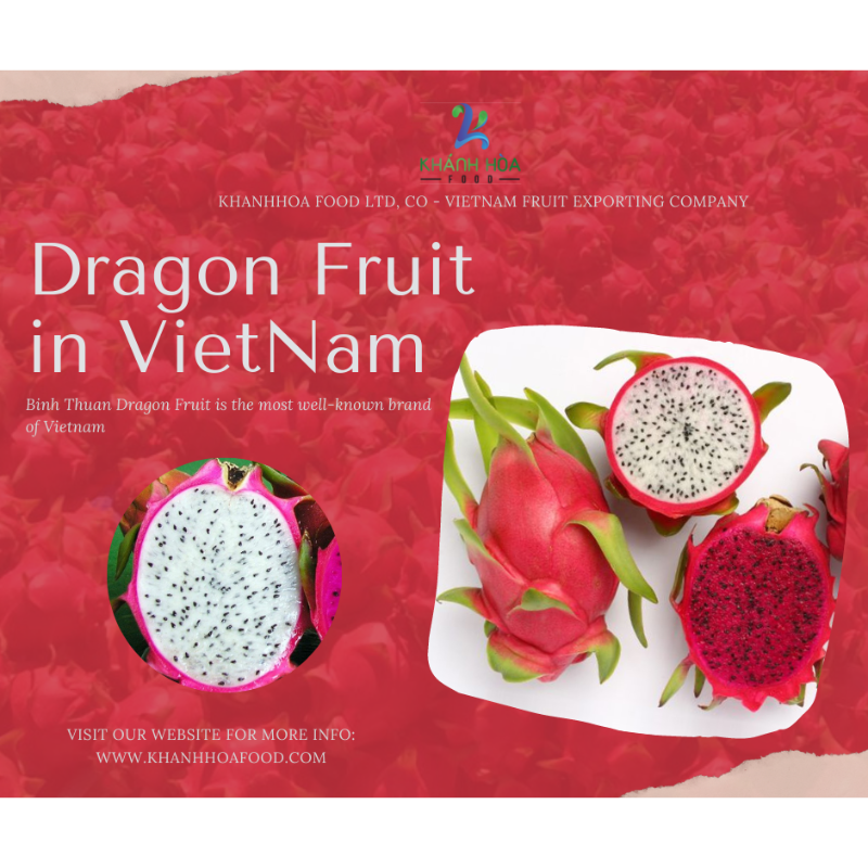 product-image-2
