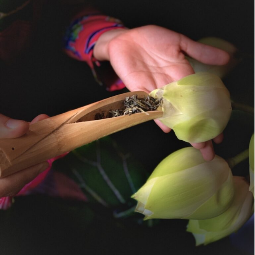 product-image-4