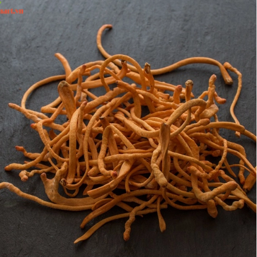 product-image-2